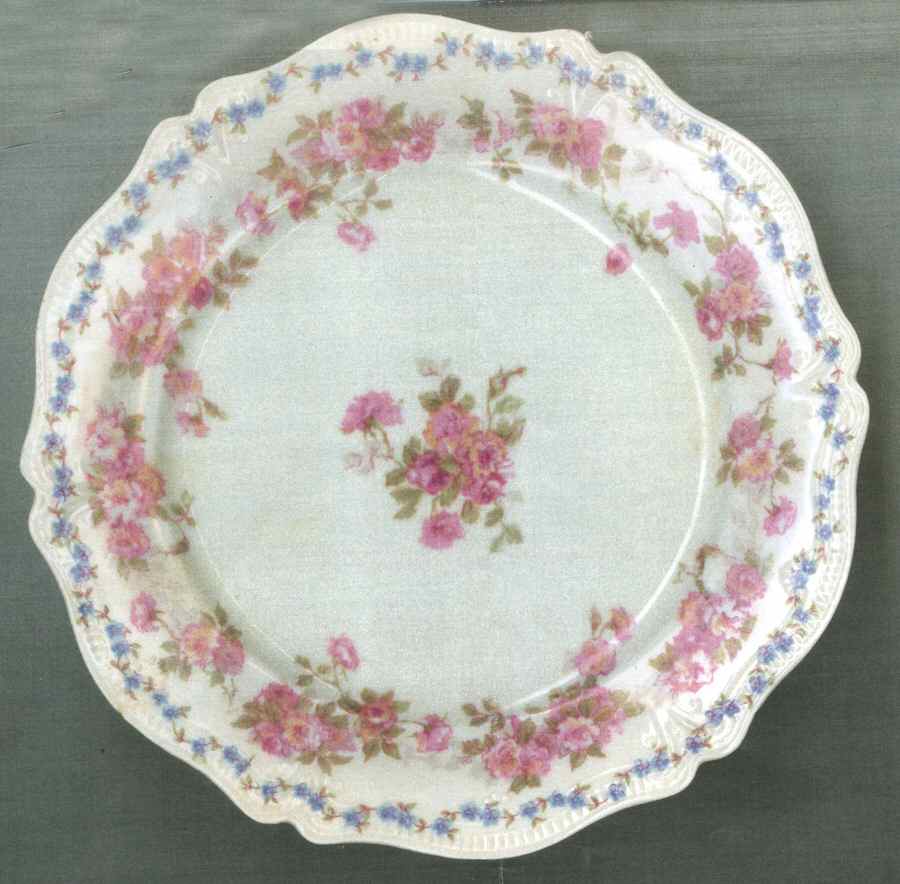 CHF889 Dinner Plate by Charles Field Haviland-1