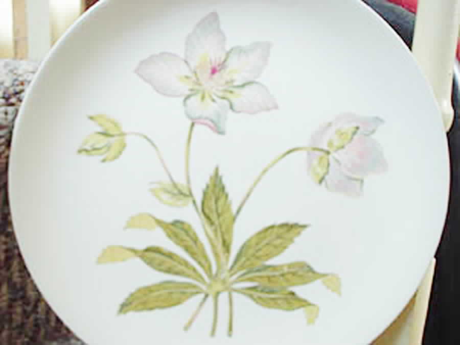 51075 Dinner Plate by Crown Potteries-1