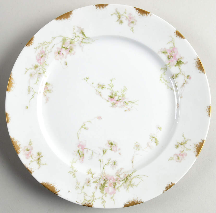 Schleiger 377-2 Dinner Plate by Charles Field Haviland-1
