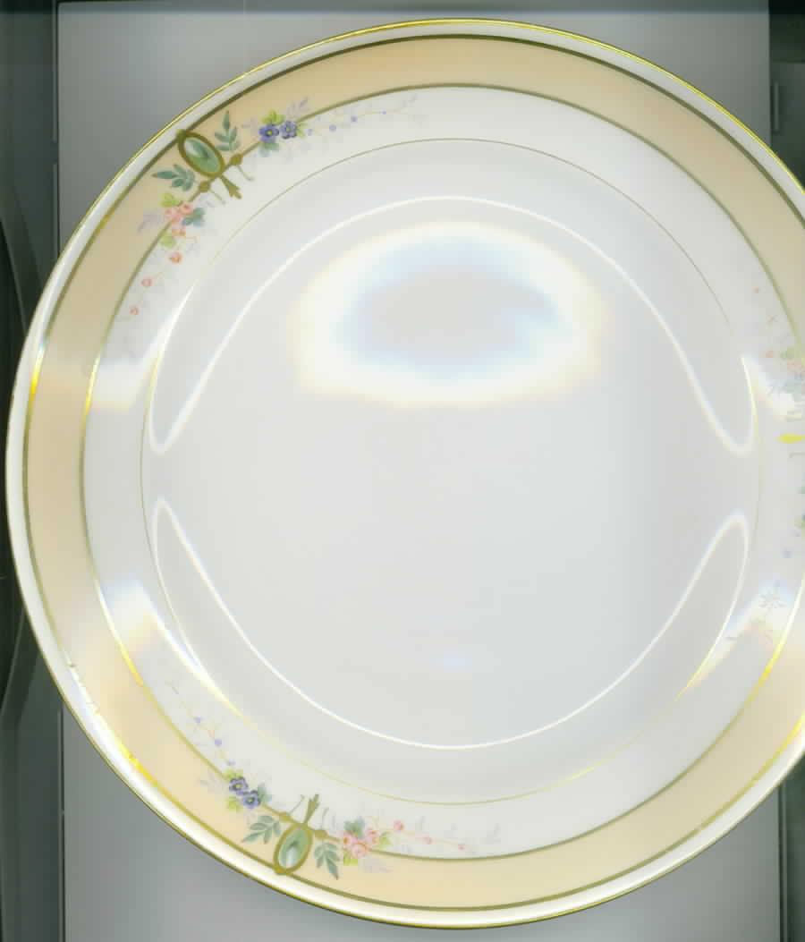 CHF914 Luncheon Plate by Charles Field Haviland-1