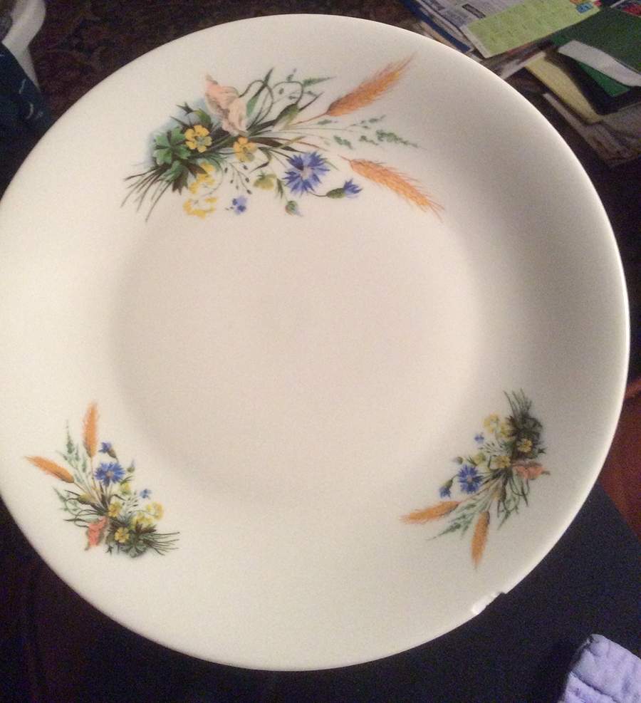 COB22 Coupe Soup Bowl by BIA Cordon Bleu-1