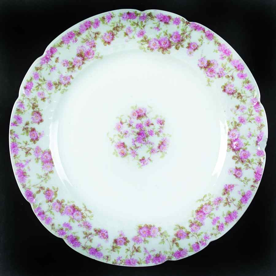 CHF923 Salad Plate by Charles Field Haviland-1