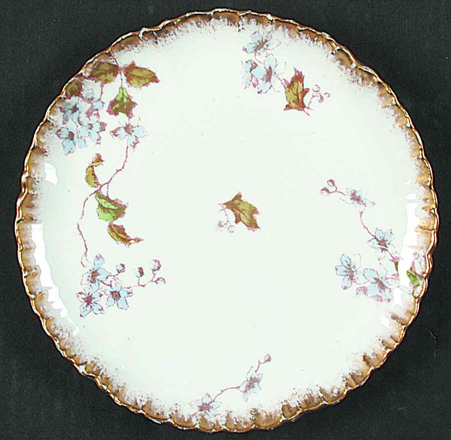 CHF927 Salad Plate by Charles Field Haviland-1