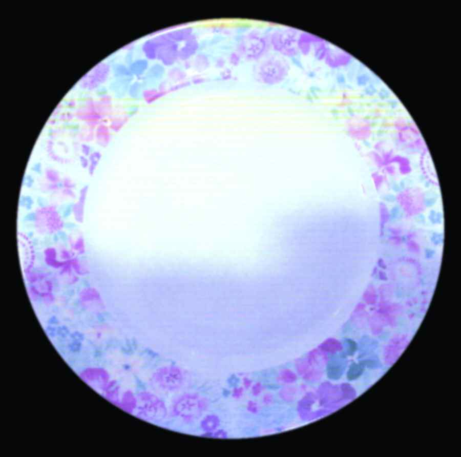 CHF936 Dinner Plate by Charles Field Haviland-1