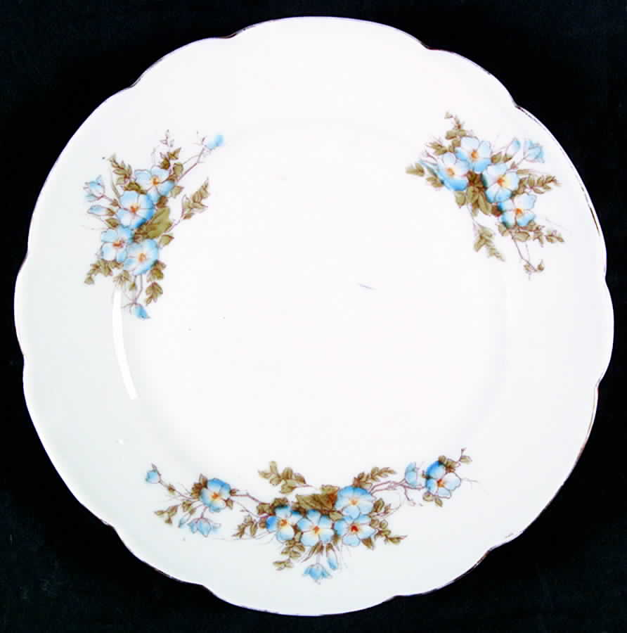 CAR126 Salad Plate by Carlsbad-1