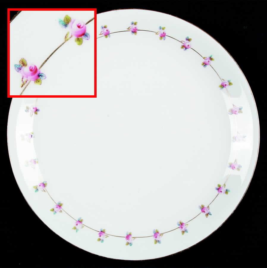 COA103 Dinner Plate by Coalport-1