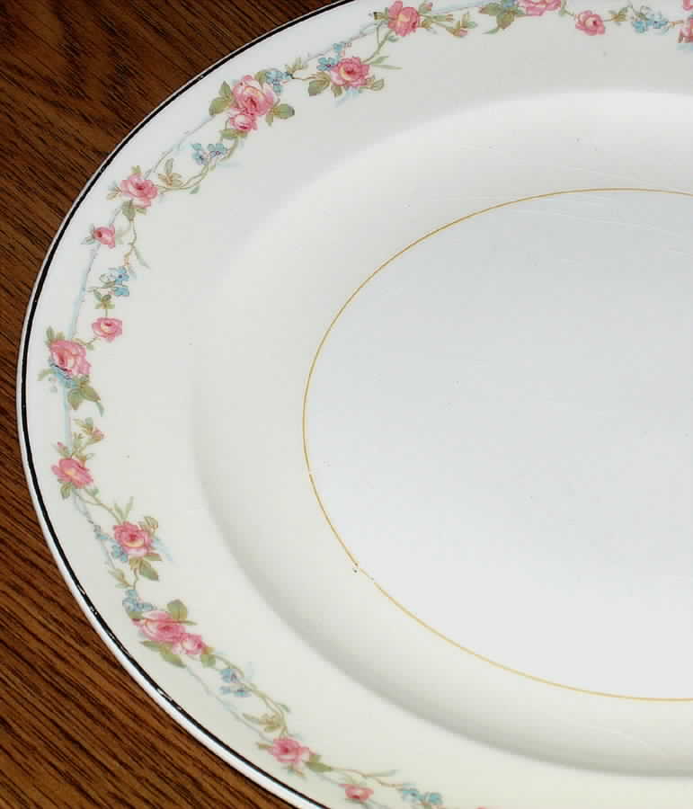 CRO242 Dinner Plate by Crooksville-1