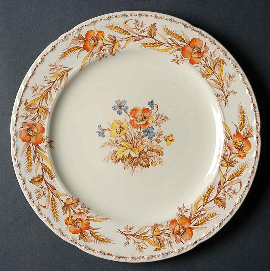 CRO254 Dinner Plate by Crooksville-1