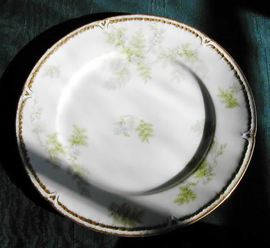 Head 86-7 Dinner Plate by Charles Field Haviland-1