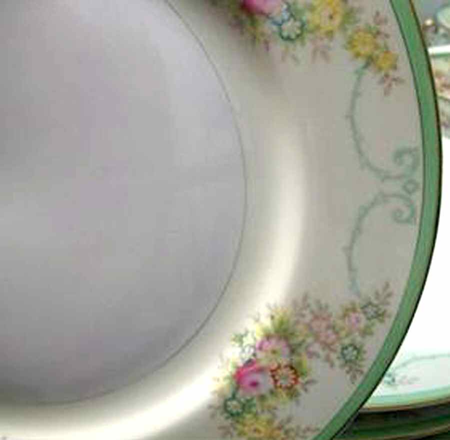 Ceb88 Dinner Plate by Celebrate-1