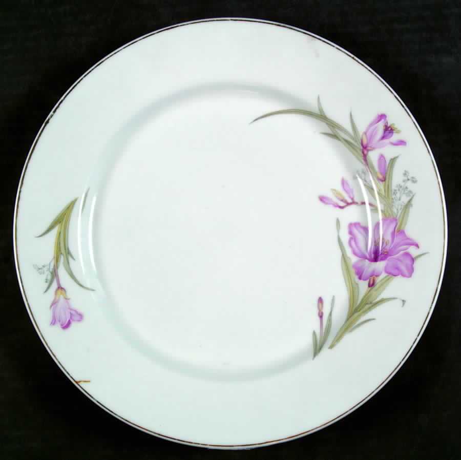 CX206 Dinner Plate by China (Made in China)-1