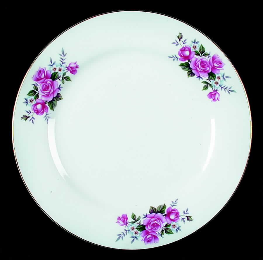 CX212 Dinner Plate by China (Made in China)-1