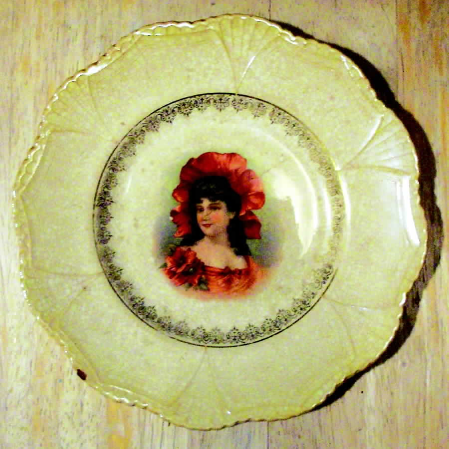 Cro260 Dinner Plate by Crooksville-1