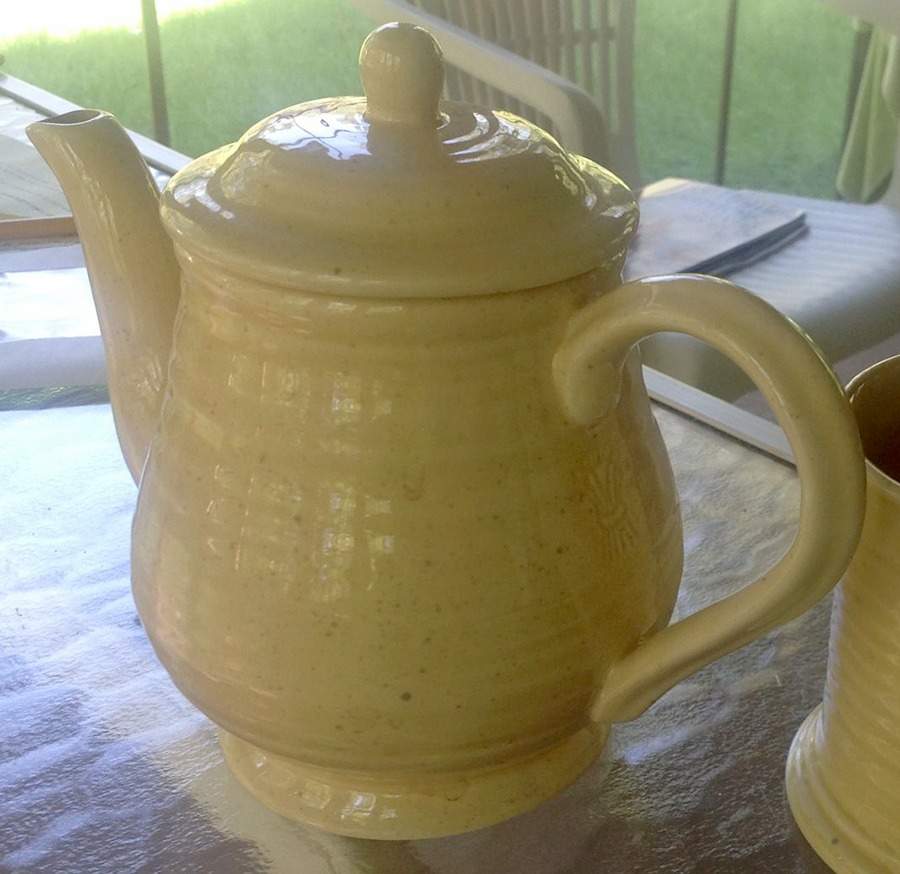 Dry Goods Teapot & Lid by Country Living-1