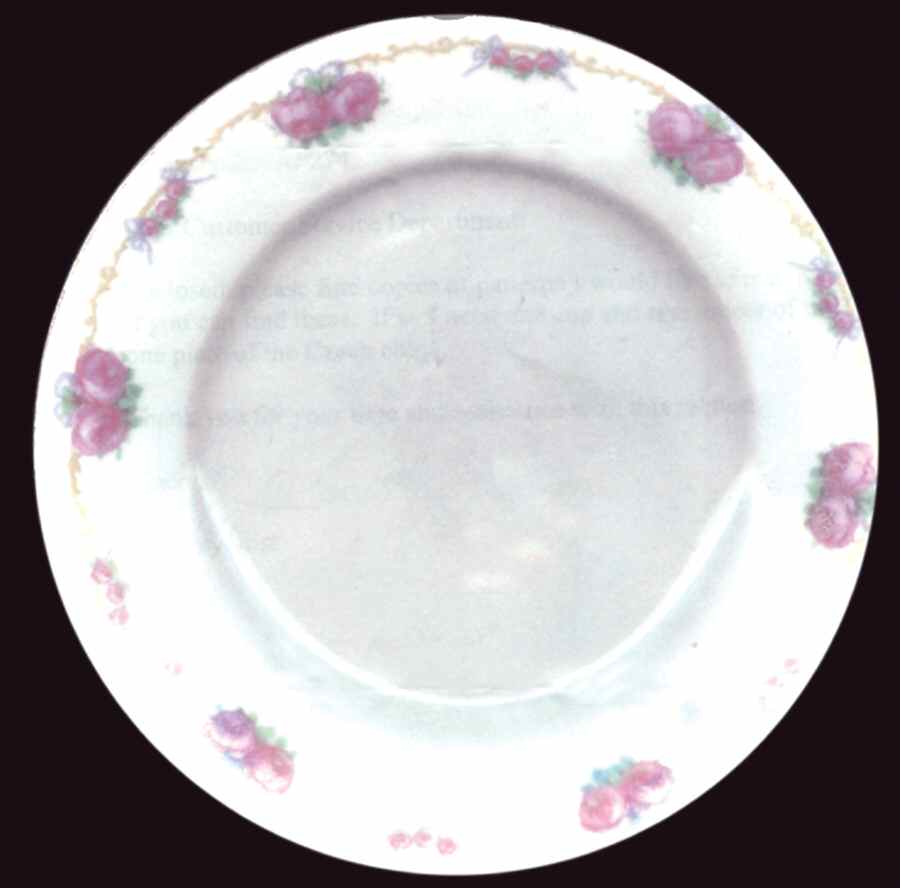 BNK12 Dinner Plate by Benedikt Brothers-1