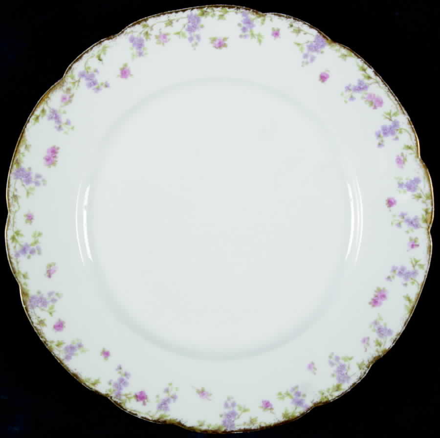 Chf991 Dinner Plate by Charles Field Haviland-1