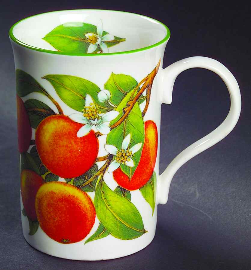 Various Mugs Only Mug by Crown Trent-1