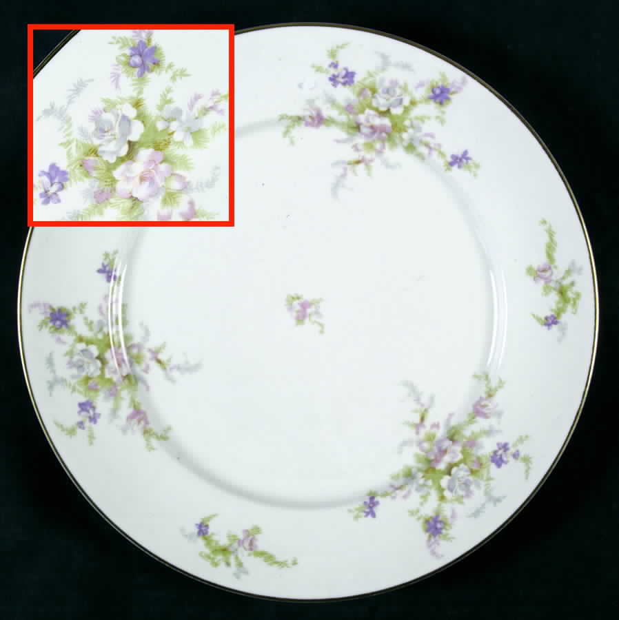 CPT8 Dinner Plate by Capital (USA)-1
