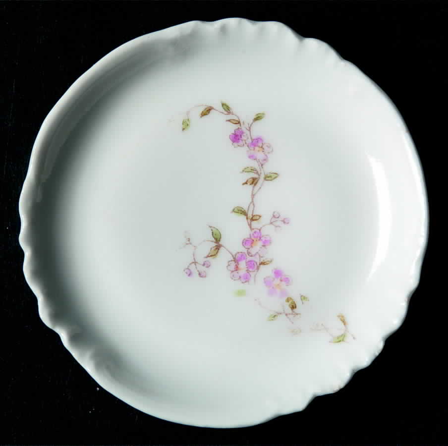 Schleiger 1299-1 Butter Pat by Charles Field Haviland-1