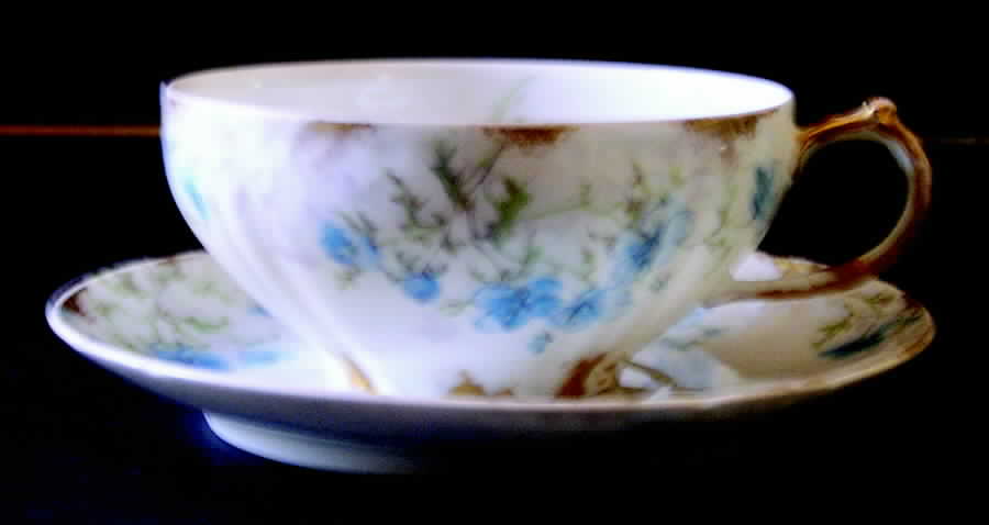 CHF1008 Flat Cup & Saucer Set by Charles Field Haviland-1