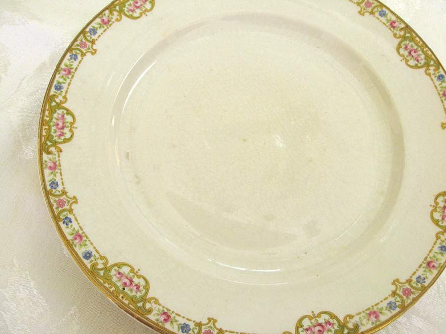 CAN160 Dinner Plate by Canonsburg-1