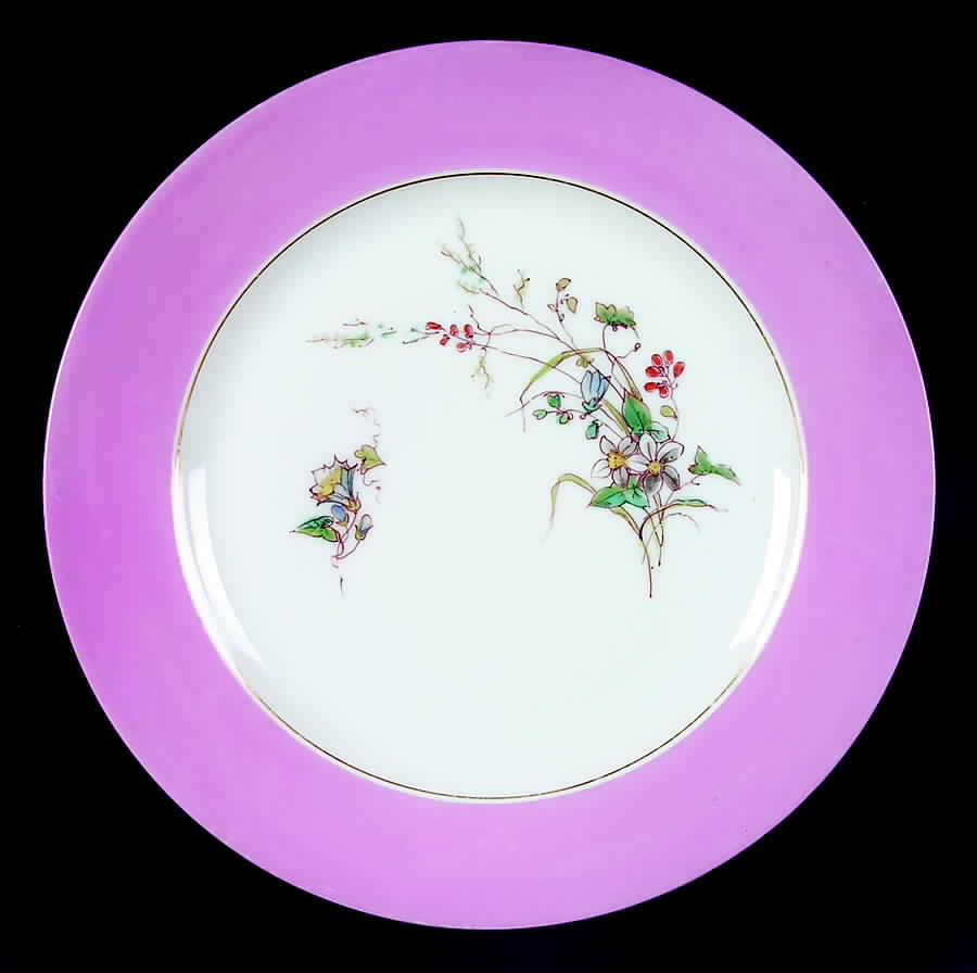 CHF1013 Dinner Plate by Charles Field Haviland-1
