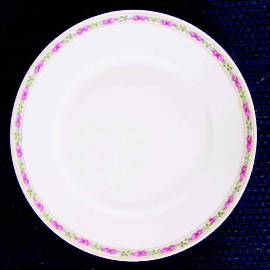 8869 Dinner Plate by Carlsbad-1