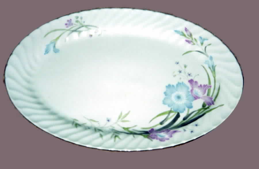 UP11 Dinner Plate by Universal Porcelain Company-1