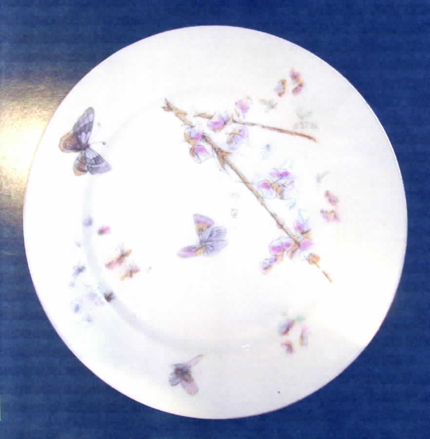 CHF1014 Dinner Plate by Charles Field Haviland-1