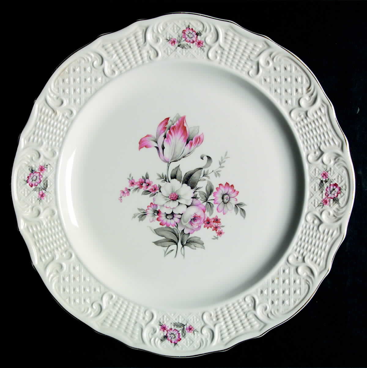 CAN162 Dinner Plate by Canonsburg-1