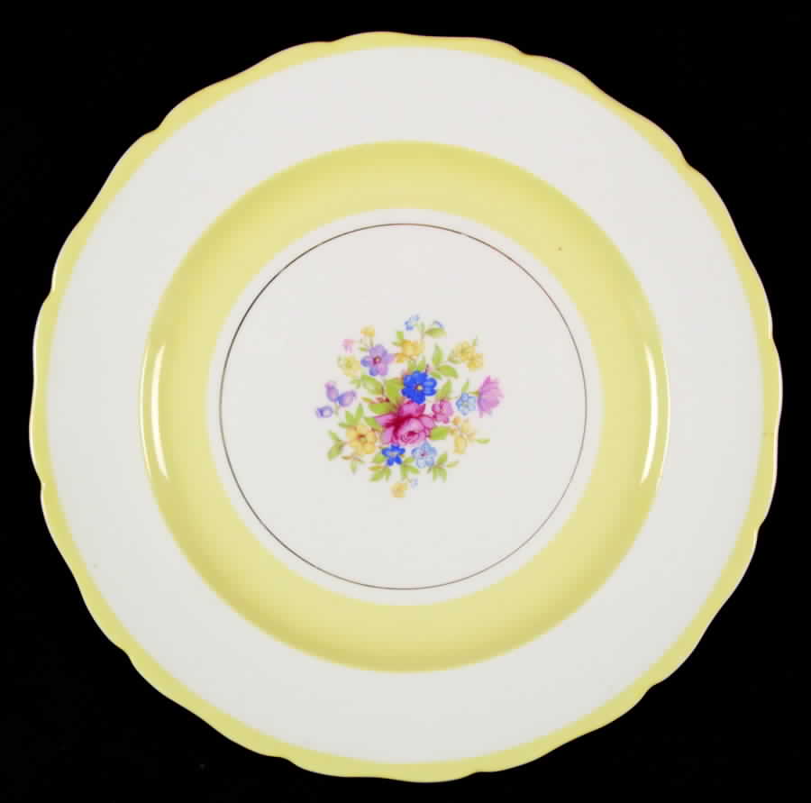 CAN163 Luncheon Plate by Canonsburg-1