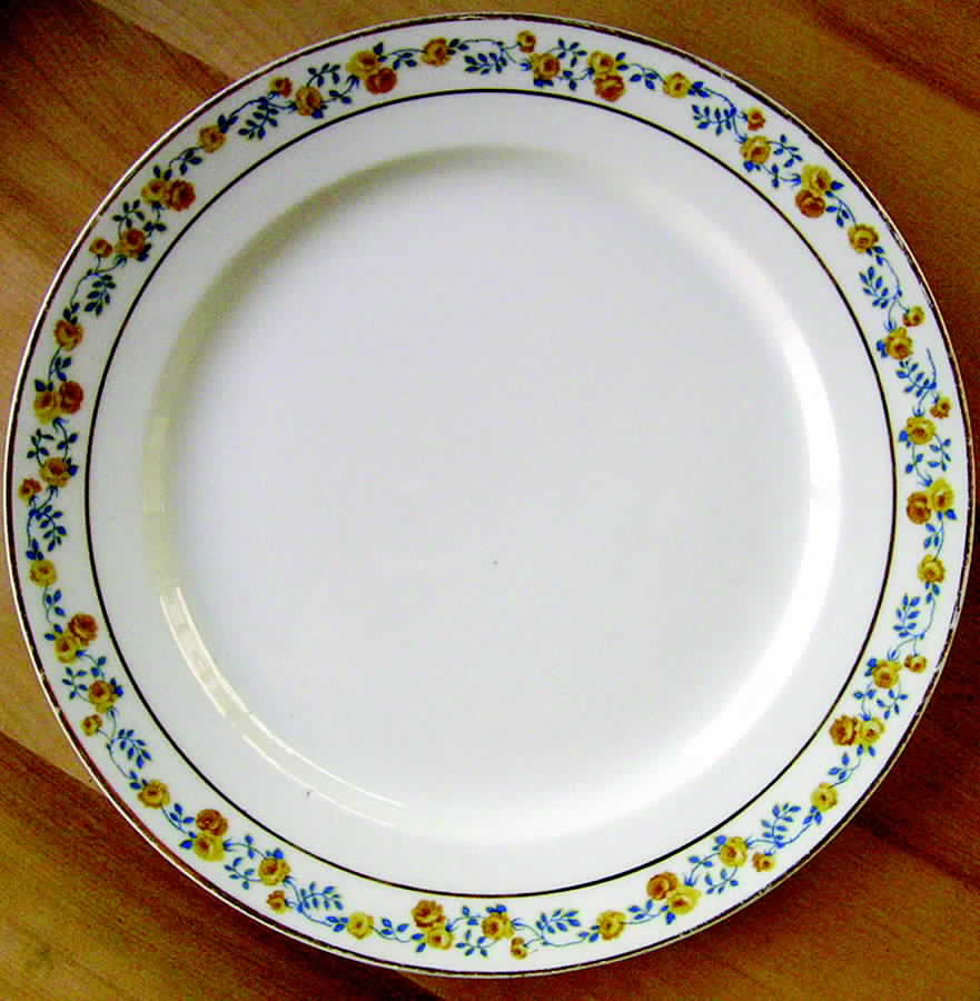 CHF1021 Dinner Plate by Charles Field Haviland-1