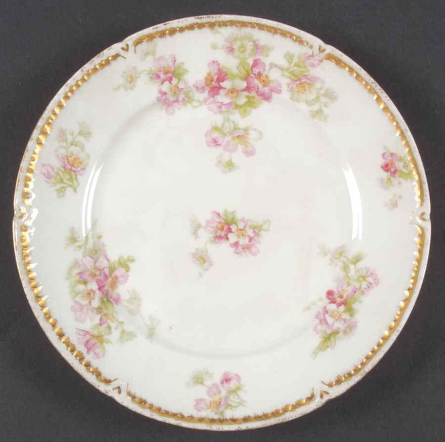 CHF1030 Salad Plate by Charles Field Haviland-1