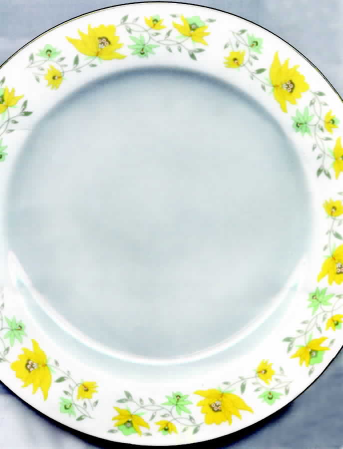 CX241 Dinner Plate by China (Made in China)-1
