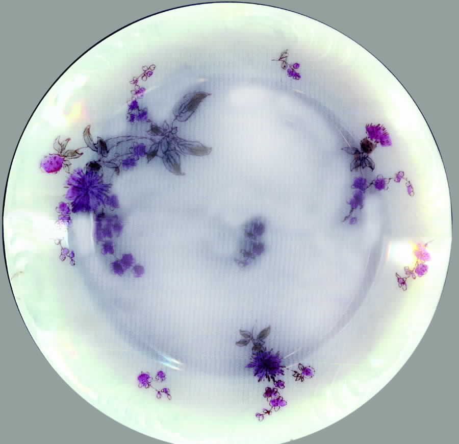Pontarlier Salad Plate by Charles Field Haviland-1