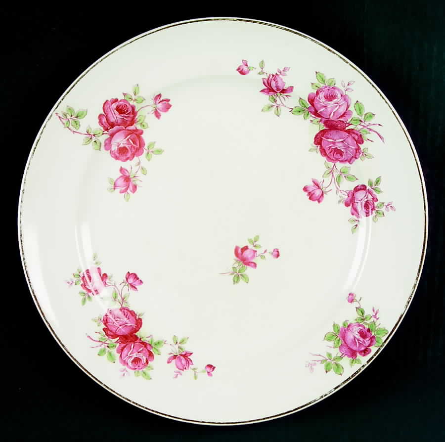 CRO267 Dinner Plate by Crooksville-1