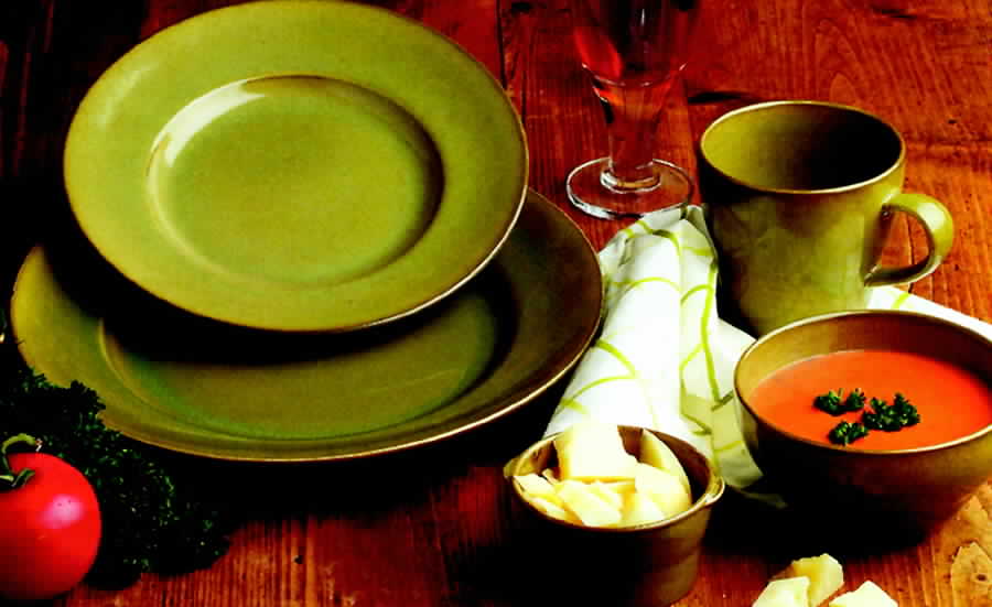Cafe Capri Fern (Green) Dinner Plate by Casafina-1