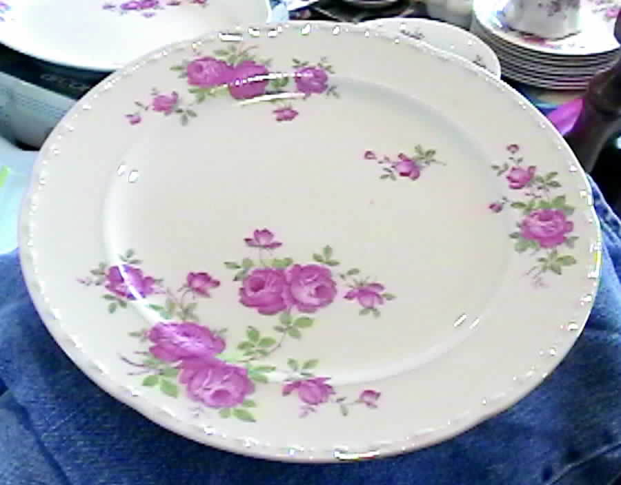 CRO268 Dinner Plate by Crooksville-1