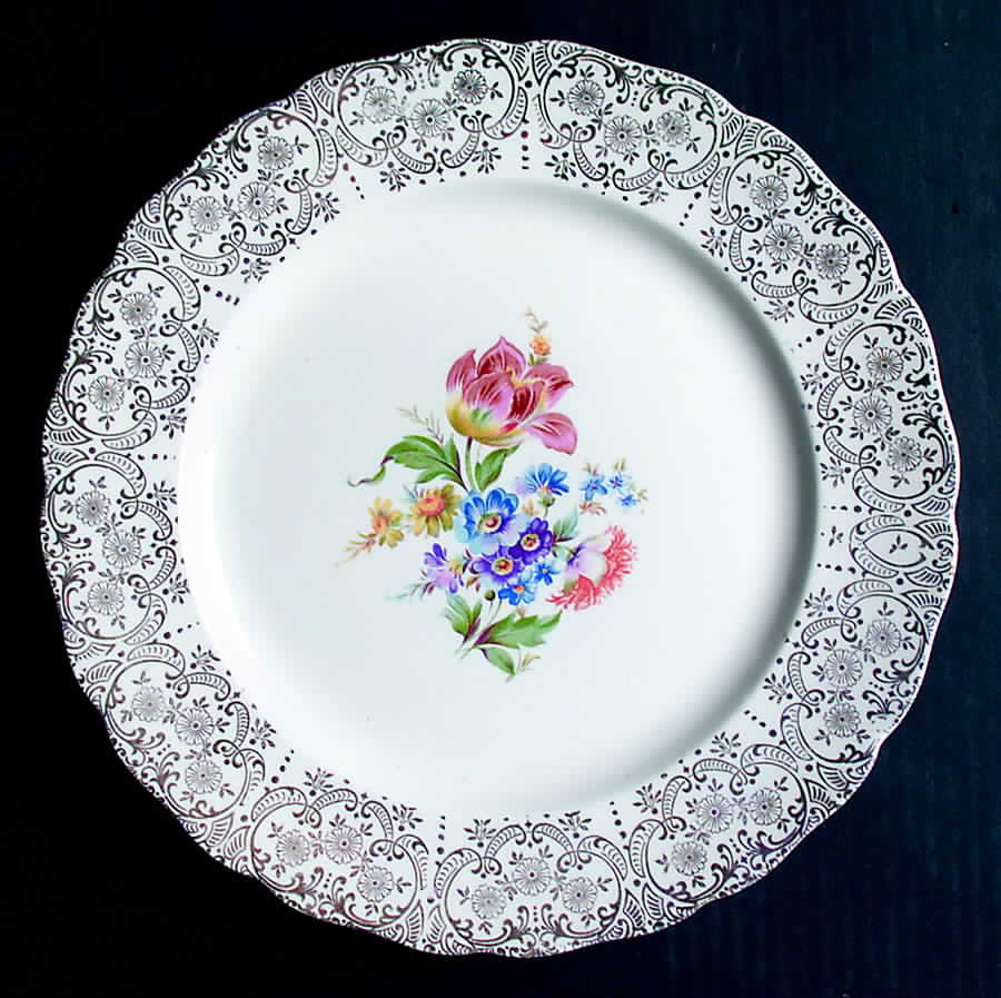CAN165 Dinner Plate by Canonsburg-1