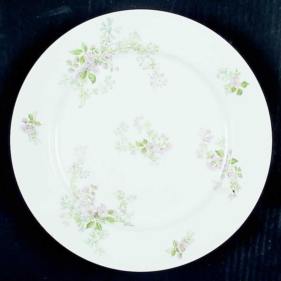 CHF1051 Dinner Plate by Charles Field Haviland-1