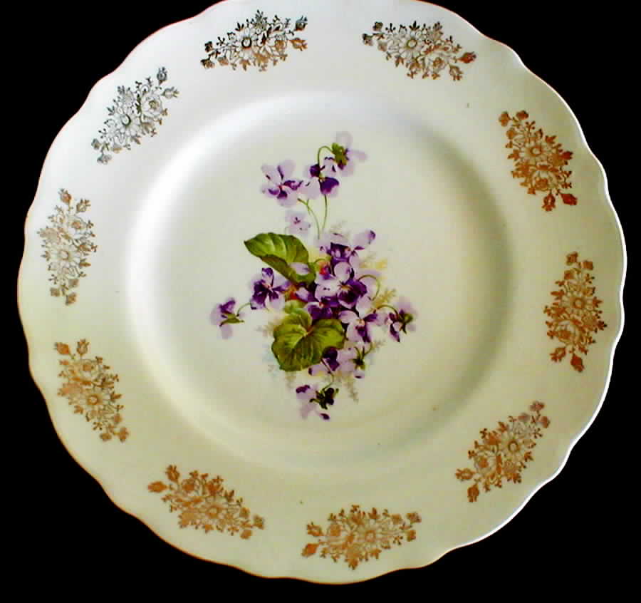 CRO269 Dinner Plate by Crooksville-1