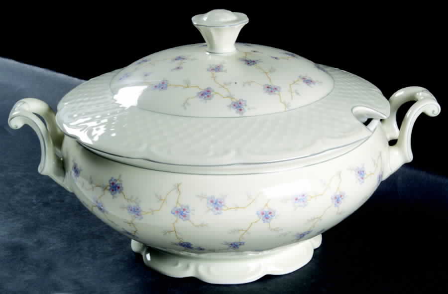 CTI173 Tureen &  Lid by Carl Tielsch-1