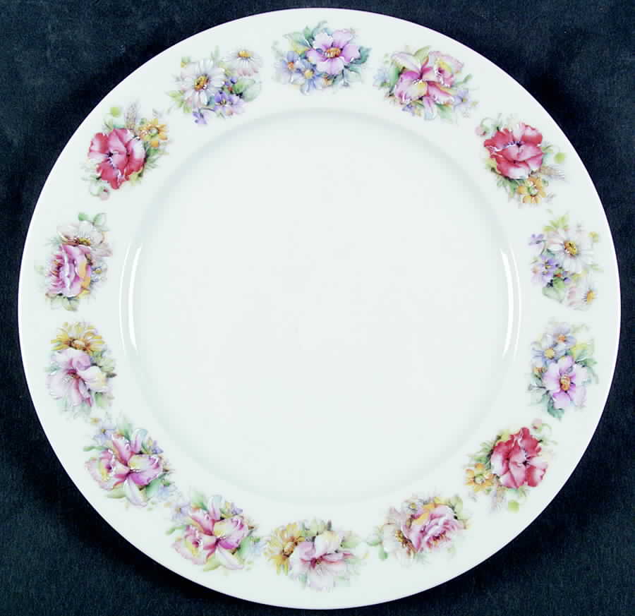 CZE160 Dinner Plate by Czechia-Czechoslovakia-1