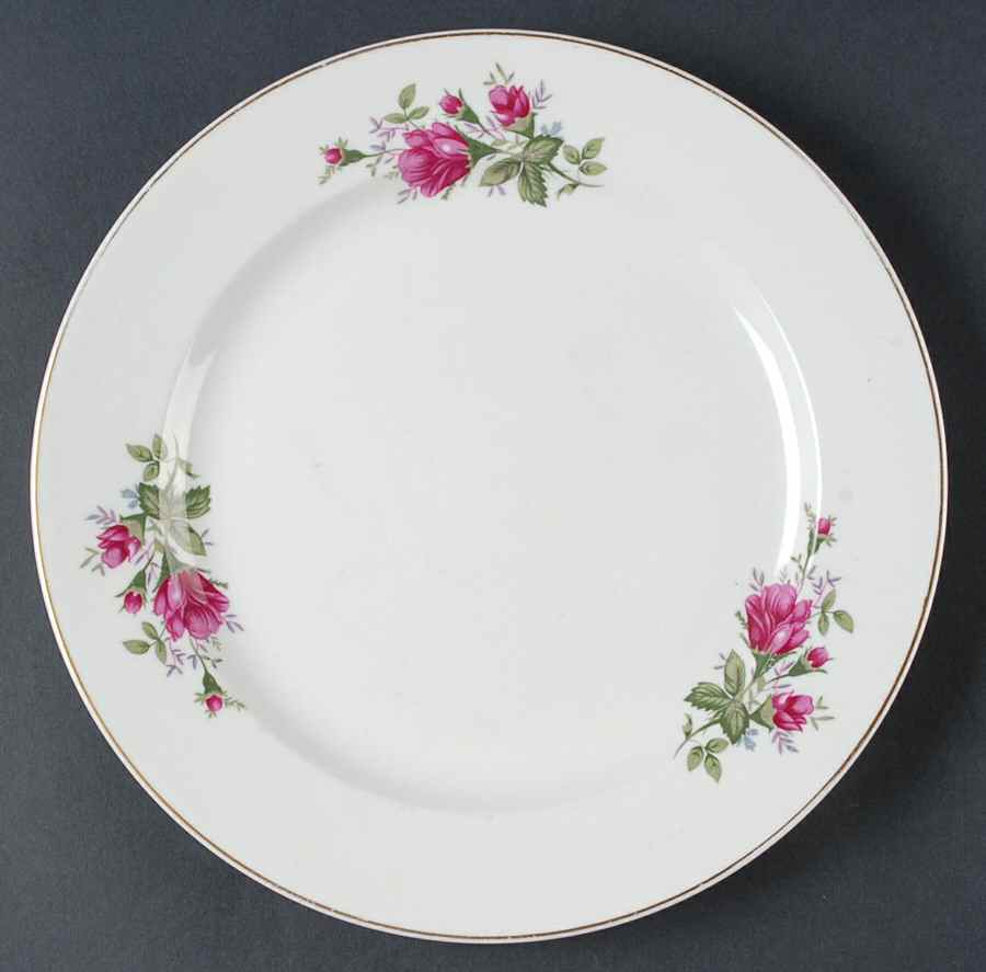 CKZ1 Dinner Plate by C ART HK-1