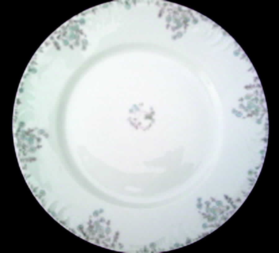 CHF1057 Dinner Plate by Charles Field Haviland-1