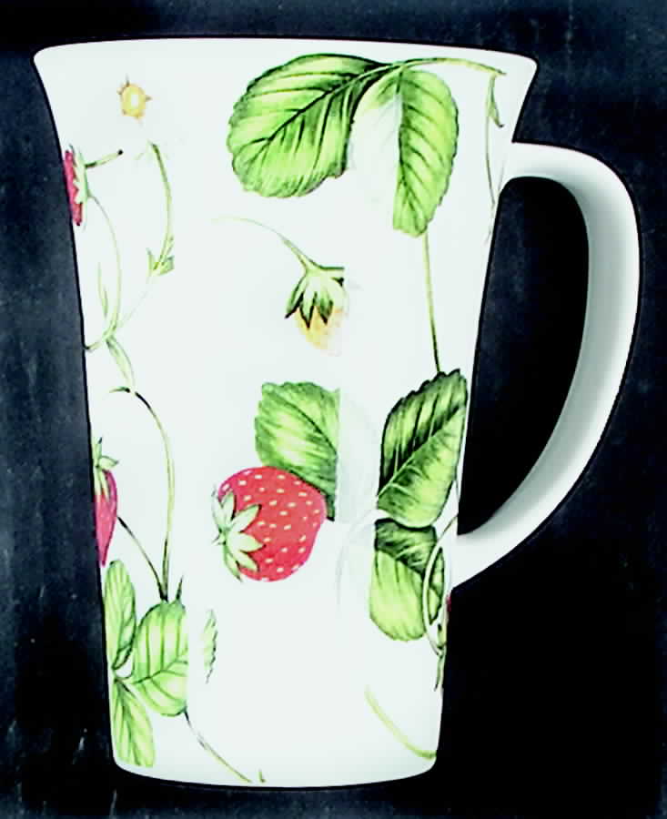 Various Mugs Only Mug by Crown Trent-1