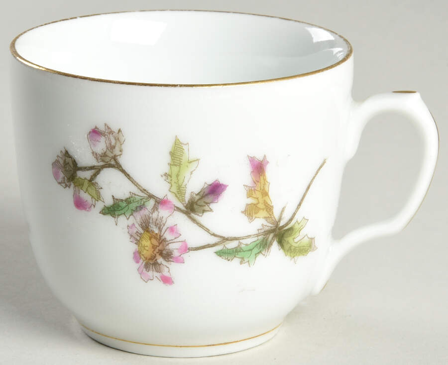 Schleiger 1311-3 Flat Cup by Charles Field Haviland-1