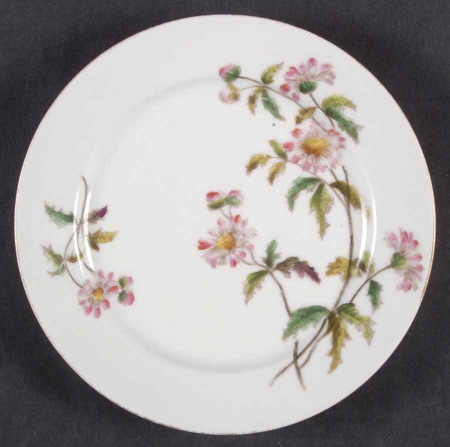 Schleiger 1311-3 Dinner Plate by Charles Field Haviland-1