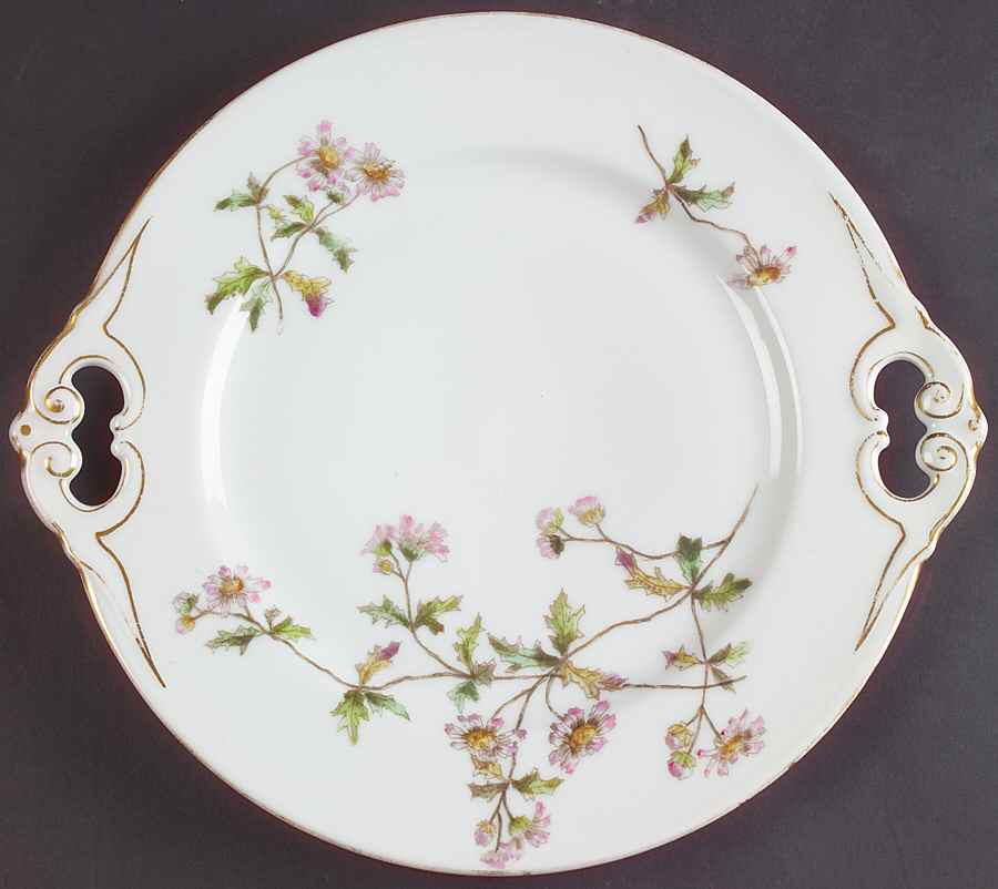 Schleiger 1311-3 Handled Cake Plate by Charles Field Haviland-1