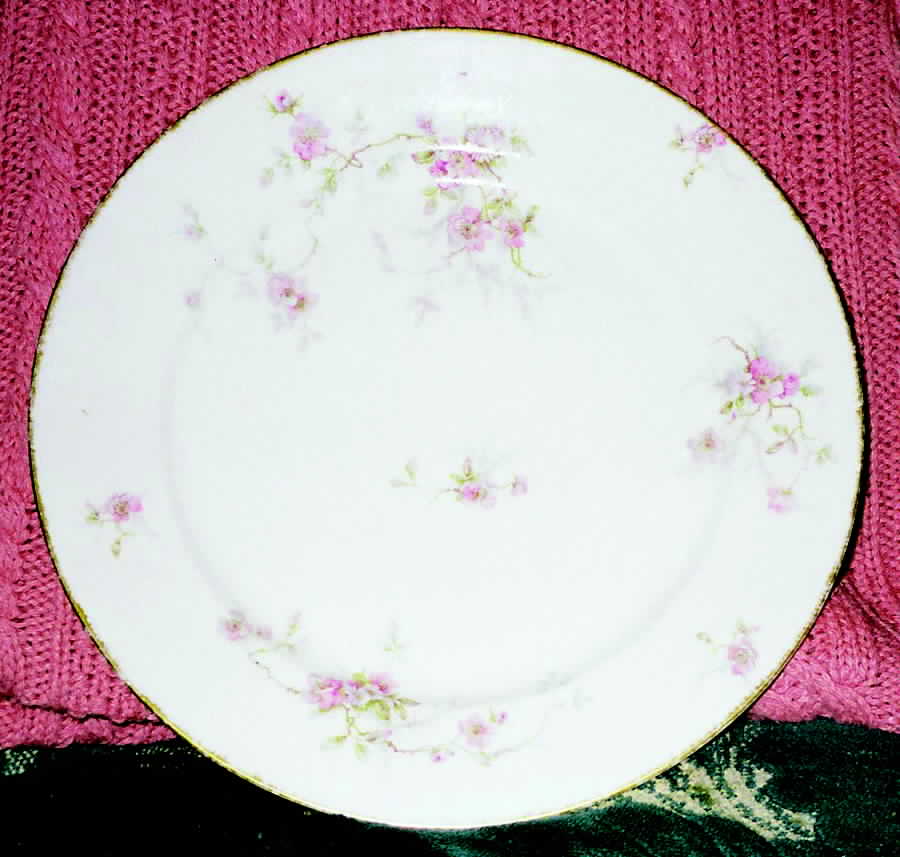 CHF1077 Dinner Plate by Charles Field Haviland-1